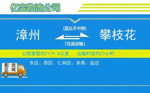 漳州到攀枝花物流公司